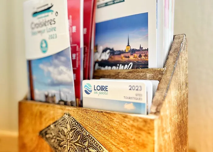 Cosy Gare & Centre-ville 公寓 索米尔